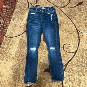 True Craft Curvy High Rise Skinny Jeans